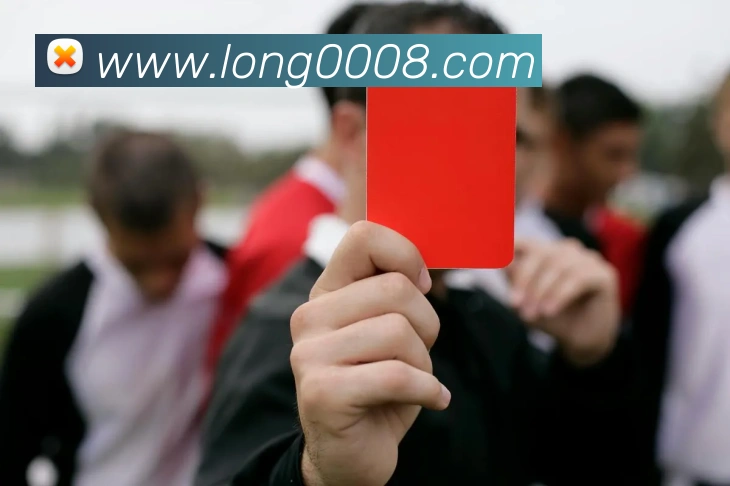 龙8-long8(国际)官方网站服务体系
